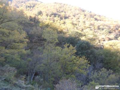 Valle del Genil:Naturaleza Sierra Nevada; visitas por madrid volcanes en cataluña paginas de viaje p